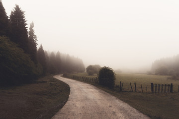 vintage landscape with path on nature with brown colors