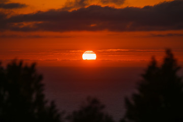 Beautiful red sunset over the ocean through the trees