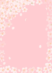 Fototapeta na wymiar 春の桜フレーム