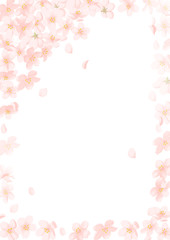 Obraz na płótnie Canvas 春の桜フレーム