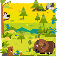 cartoon forest with wild animal bison buffalo and other animals illustration