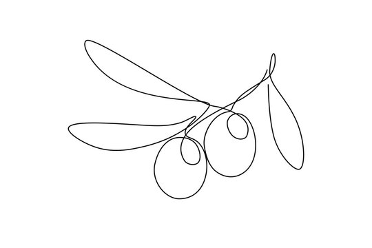 Olives in continuous line art drawing style. Minimalist black linear sketch on white background. Vector illustration