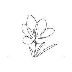 Spring crocus flower in continuous line art drawing style. Minimalist black linear sketch on white background. Vector illustration