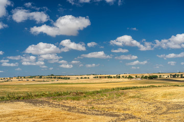 Fototapeta premium Rural landscape in Apulia at summer
