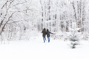 A young and beautiful couple is having fun in the snowy park, running and holding hands. Valentine's Day concept. Winter season.
