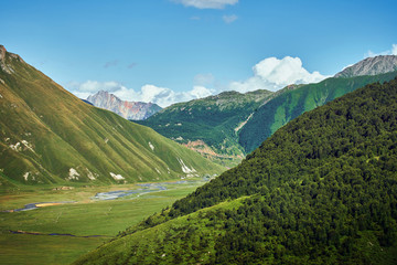 Amazing mountain landscape, wildlife traveling, to the mountains.