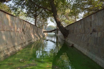 Fototapeta premium A mesmerizing view of hauz khas lake and garden from the hauz khas fort at hauz khas village at winter foggy morning.