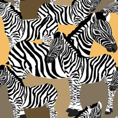 Fototapeta na wymiar Zebra's seamless pattern. Vector illustration of zebras on beige and yellow background