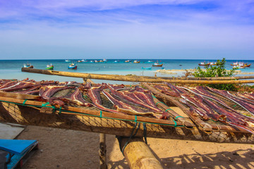 The process of drying fish in a Vietnamese village on the background of fishing boats