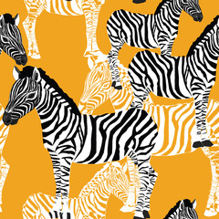 Zebra's seamless pattern. Vector illustration of zebras on orange background