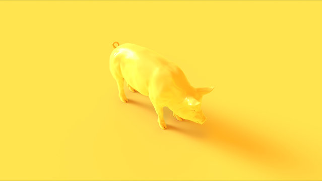 Yellow Pig 3 Quarter Right View 3d illustration 3d render