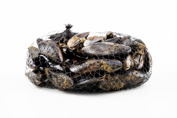 Cozze fresche che girano sullo sfondo bianco
