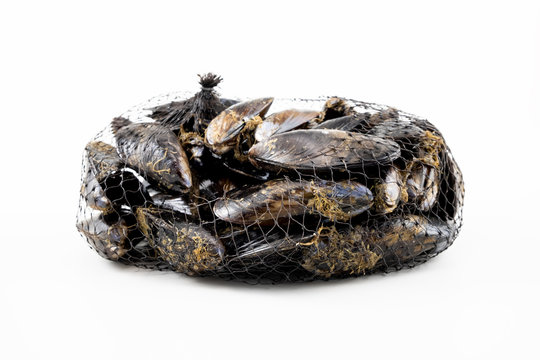 Cozze fresche che girano sullo sfondo bianco