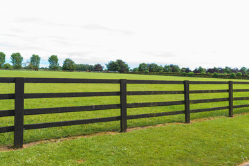 Fototapeta na wymiar fence around lawn for horses