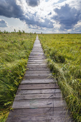 Tourist path called Dluga Luka on a Lawki Swamps in Biebrza National Park in Poland