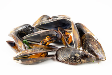 Mussels with a white background