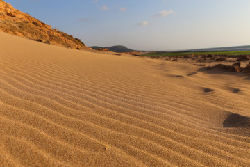 Fototapeta na wymiar Wind Comb on the sand dunes