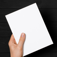 Men's hands holding closed book with blank cover on light background