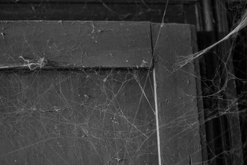 Spider web closeup on the background of old retro furniture