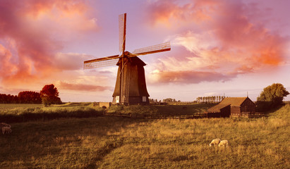 Fototapeta na wymiar Dutch windmill 