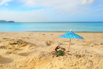 Fototapeta na wymiar crab and beach umbrella on sand. tropical seascape background. summer, travel, vacation, relax time concept. copy space
