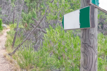 Forest sign to indicate a hiking path. Autumnal color. Soft cool light.