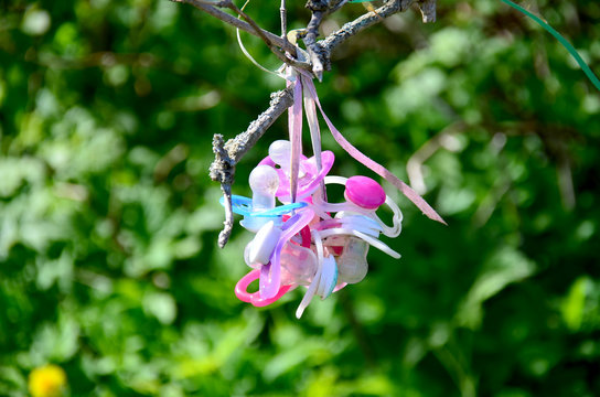 Schnullerbaum