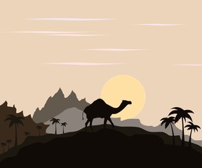 Camel in the desert the sun rises or sets the symbol of travel and tourism, vector