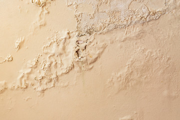 moisture and spilled wall paints