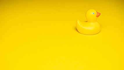 rubber duck isolated on yellow background