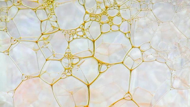 Colorful soap foam with popping bubbles background. Abstract biological structure, macro molecule pattern. Bright ink filling mass of small & big bubbles formed in liquid. Natural, unusual wallpaper