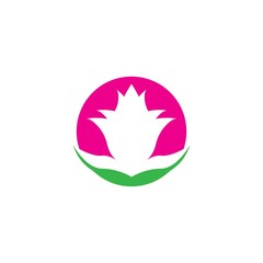 Vector illustration icon of beautiful tulips with white background