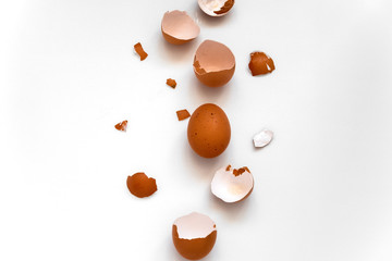 top view flat lay one brown egg and egg shells on a white background