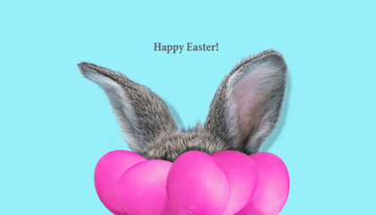 Adorable Easter bunny isolated on blue studio background, flyer for your ad. Cute ears of hidden animal with painted eggs. Greeting card. Concept of holidays, spring, celebrating. Modern design.