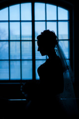 bride's silhouette near window