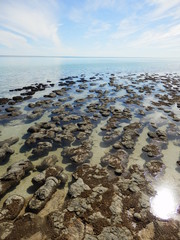 Fototapeta na wymiar Côte sauvage rocher mer