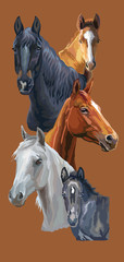 Vector postcard with horses 2