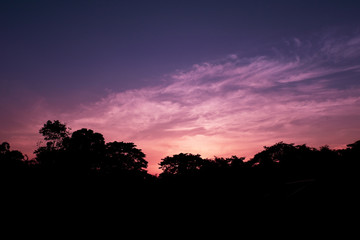 Fototapeta na wymiar silhouette sunset in the forest