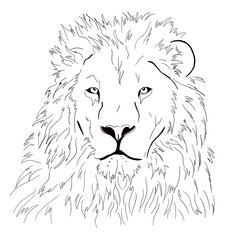 Lion | Digital illustration 