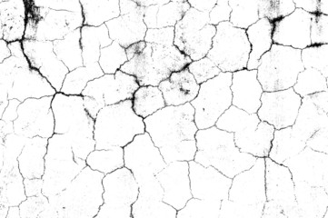crack ground for abstract background on white background