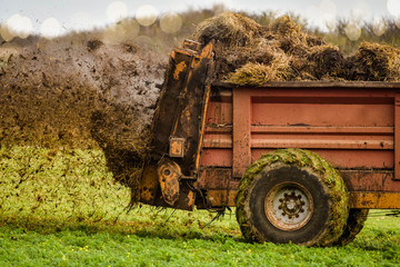 farmer spreading manure in fields in autumn
