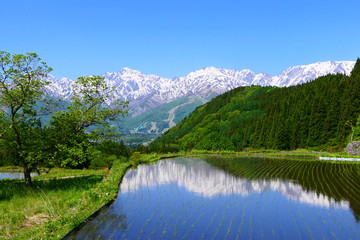 初夏の青鬼地区より残雪の北アルプスを望む。白馬、長野、日本。5月下旬。