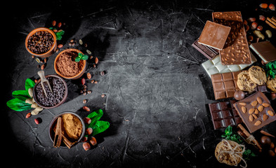 Fototapeta na wymiar Set of chocolate with nuts, herbs, shavings and cocoa beans on dark background