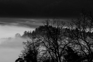 Early morning mist before sunrise landscape seen through a tree branches in black and white.