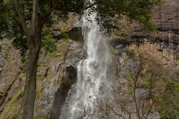Sunny day in the Tropical waterfall falls from the mountain cliff to the jungle, serene landscape of Diyaluma falls.