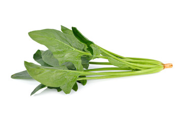 uncooked fresh spinach on white background