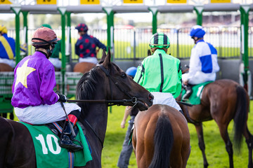 Race horses and jockeys waiting to enter starting gate on the race track
