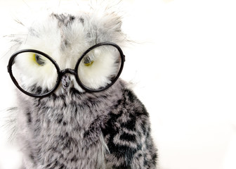 wise owl, soft toy for children, harry potter black goggles style, wisdom, education and cleverness, many school signs, nursery accessory, white background