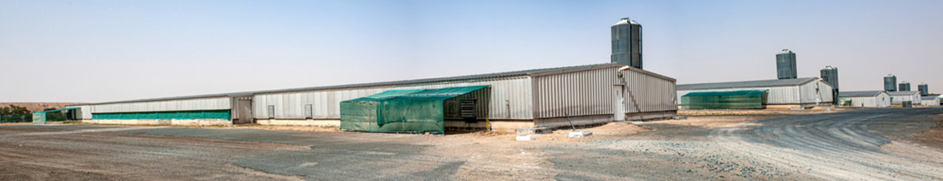 A Huge Barn In Desert, Poultry Farm