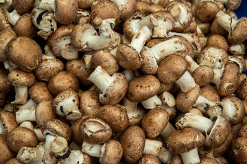 pile of mushrooms on the market 